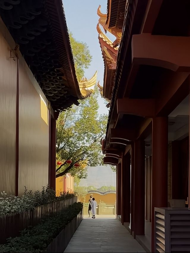 寧波小眾寺廟，拍照超靚超出片