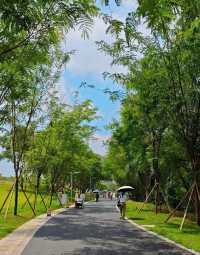 深圳小眾秘境，龍華新開免費環湖綠道！