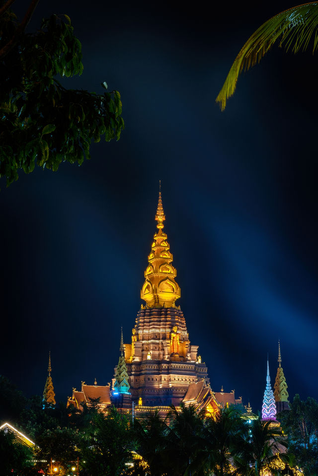 喺西雙版納，遇見螢火蟲嘅盛夏夜之夢