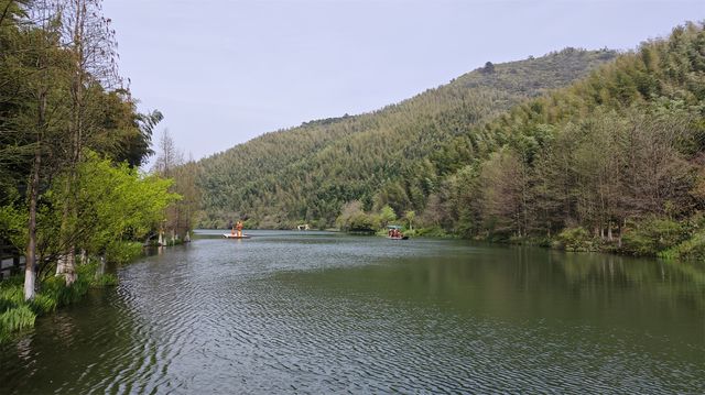 遊雲湖碧波萬頃，探南山竹海綠浪，春季自駕行D12