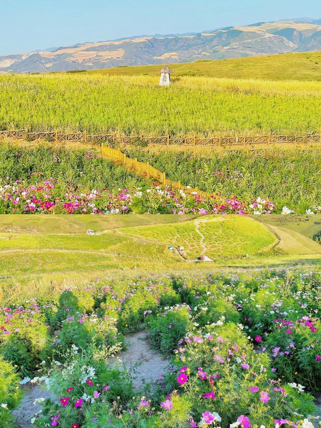 一篇搞掂江布拉克自駕、住宿、美食指南
