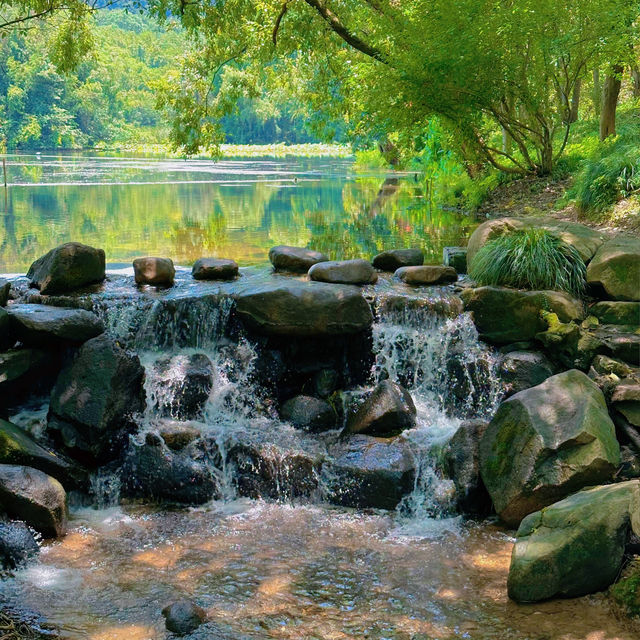 杭州西湖西線避暑一日遊攻略，打卡夏日裏的吸氧秘境