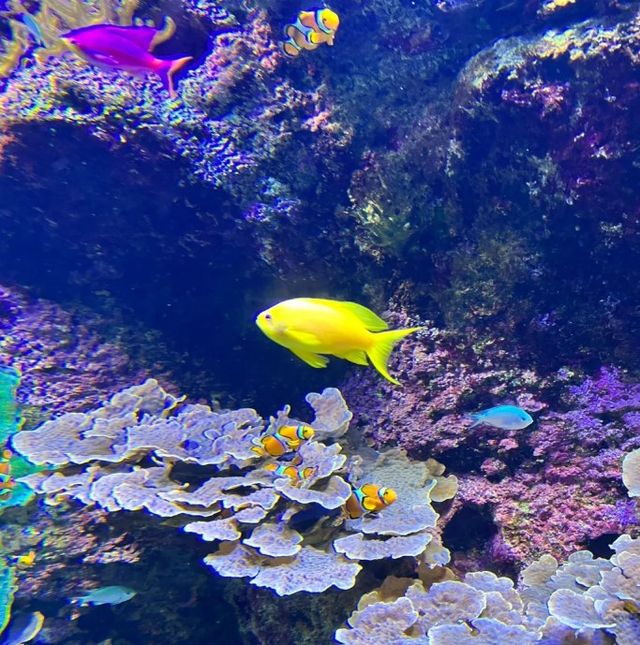 聖塞瓦斯蒂安 | 海濱小鎮嘅夢幻之旅