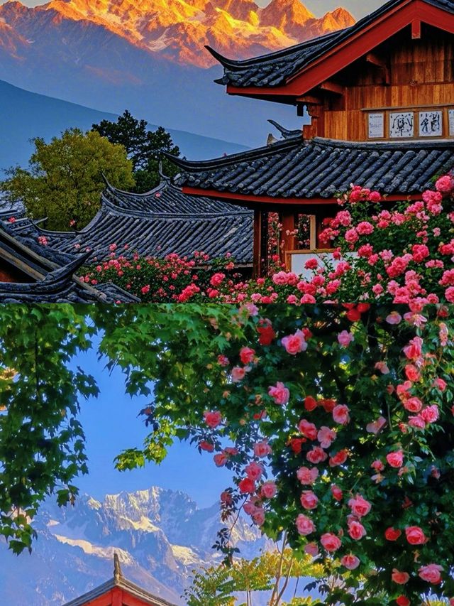 「麗江慢時光！古城發呆，雪山仰望，邂逅一米陽光！」