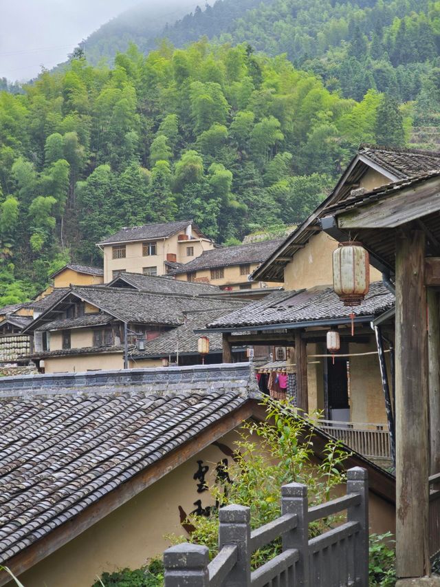 杭州自駕4.5小時直達！我在雲和梯田過上神仙日子