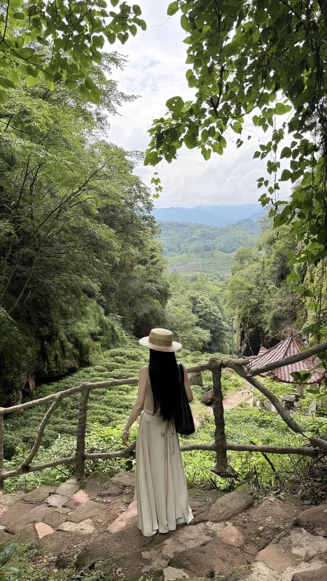 武夷山5天4夜深度遊｜食住玩全攻略避坑指南