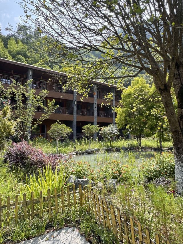｜喺山裏住到唔想走嘅staycation日常  上星期主城熱到溶晒，一腳油門衝入山裏，竟撞入呢座被