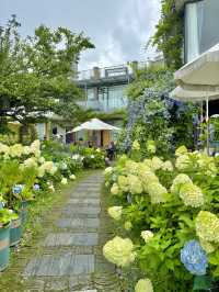 住進莫奈嘅油畫裡 睜眼就係碧波盪漾