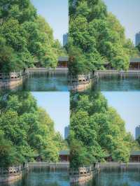 寧波火車站旁嘅隱藏王者月湖公園5A級美貌暴擊