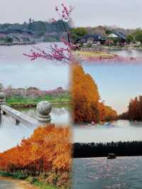 藏住一個超治癒嘅秘密花園今次帶大家打卡上海海灣森林公園