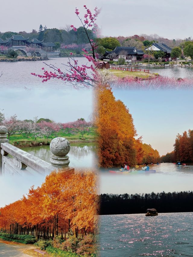 藏住一個超治癒嘅秘密花園今次帶大家打卡上海海灣森林公園