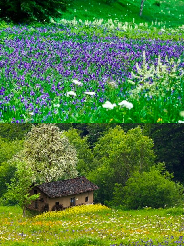 長白山已回真係正～～