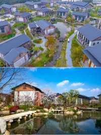 觀音村·居士學院——臨法界之園林雅宿
