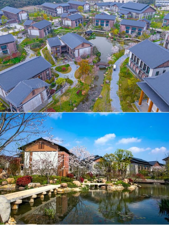 觀音村·居士學院——臨法界之園林雅宿