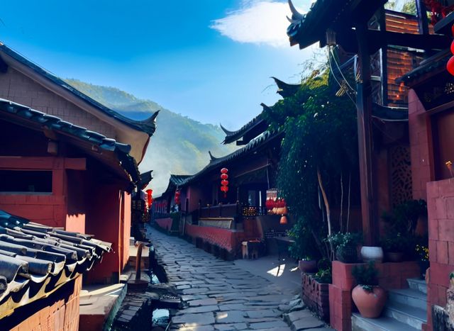 比大理狂野，比版納香濃！普洱3日2夜「茶咖雨林」暴走攻略