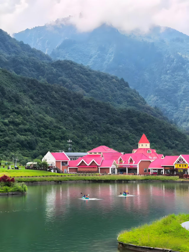 逃離40℃火爐！成都2小時直達西嶺雪山20℃花海秘境
