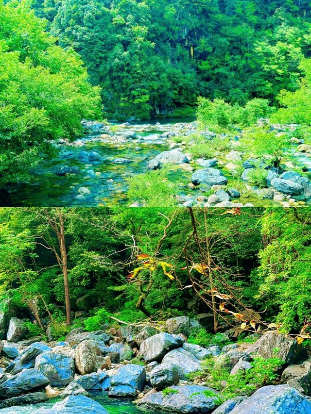 牯牛降避暑指南 牯牛降避暑指南