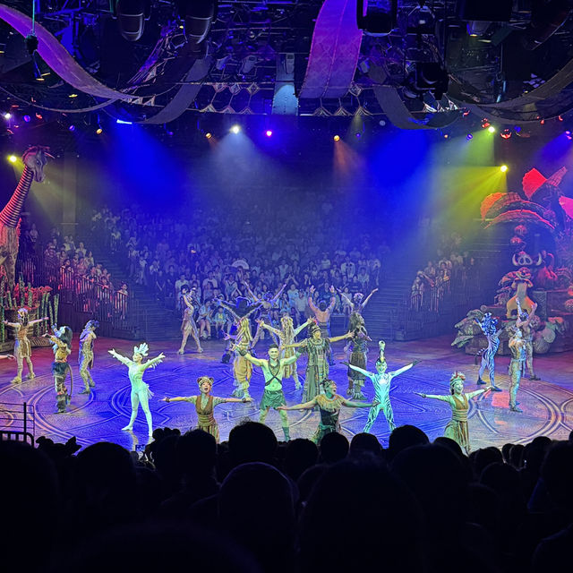 【香港ディズニー】おすすめ室内エンターテインメント フェスティバルオブザライオンキング🦁