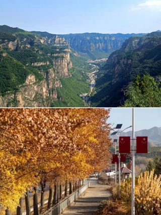 Autumn Colors Gradually Dye the Taihang Canyon