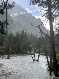 Siguniangshan - changpinggou In June