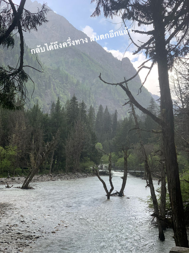 Siguniangshan - changpinggou In June