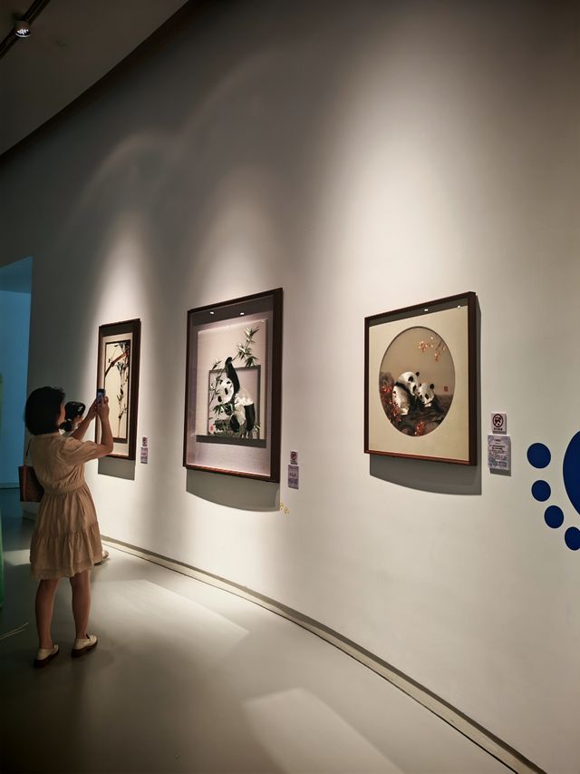 長沙新展誰能拒絕可可愛愛大熊貓 長沙新展誰能拒絕可可愛愛大熊貓