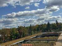 長白山紅石峯生態風景區紅楓染紅了峯頂