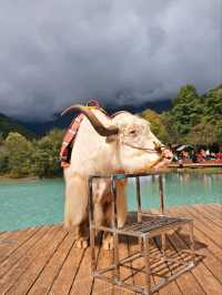 Lijiang Perfect 3-Day Itinerary
