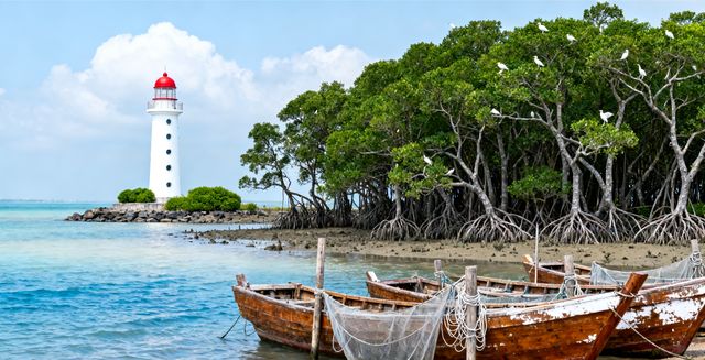 湛江必打卡！11個景點藏著「廣州灣」的百年風情與濱海浪漫