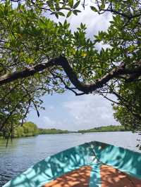 Journey in Sri Lanka: A Remarkable Experience