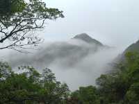 我看到的三清山