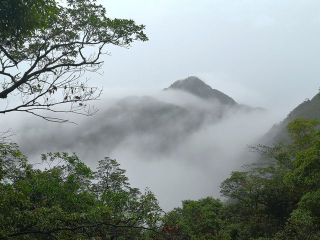 我看到的三清山