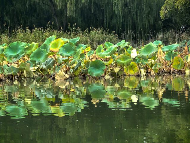 煙波浩渺的昆明湖