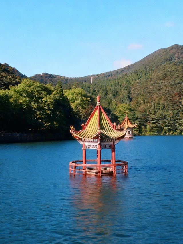 廬山一日｜在雲霧裡探尋神仙秘境