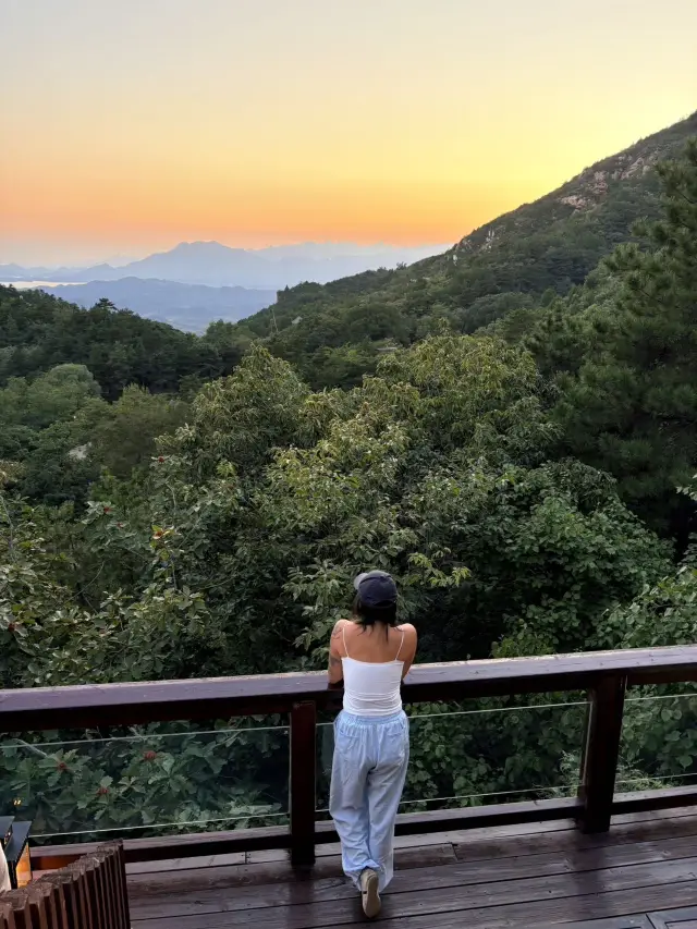 Beijing Weekend｜Immerse Yourself in a Mountain Forest Treehouse After Autumn 