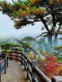 秋日黃山！10-11月衝就對了，錯過再等1年