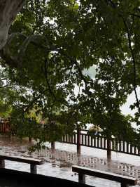 秋雨邂逅長沙紅葉
