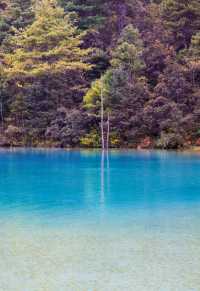 雲杉坪藍月谷打卡必去地