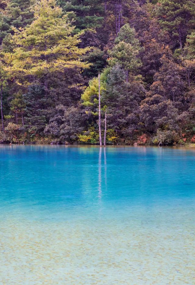 雲杉坪藍月谷打卡必去地