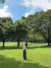 在東莞發現了一片超治癒的綠色仙境！東莞植物園真的太適合週末放鬆了，隨手拍都是大片，根本停不下來～  