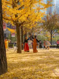 還有1個月｜魔都市區的調色盤公園即將上線