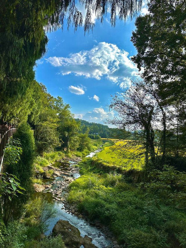 天台山茶香秋色遊