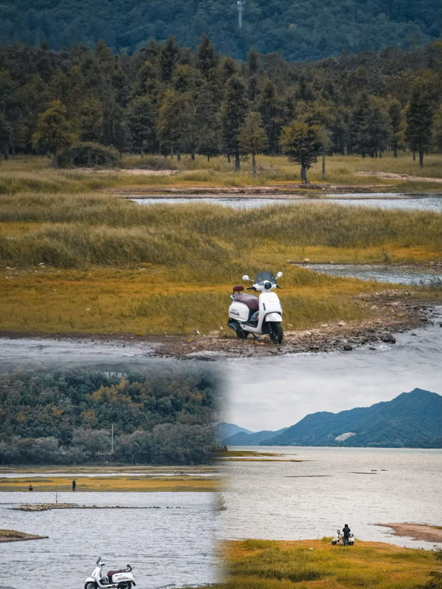 別再只去湖邊散步！白鷺灣濕地這處「天然氧吧」，拍照自帶濾鏡