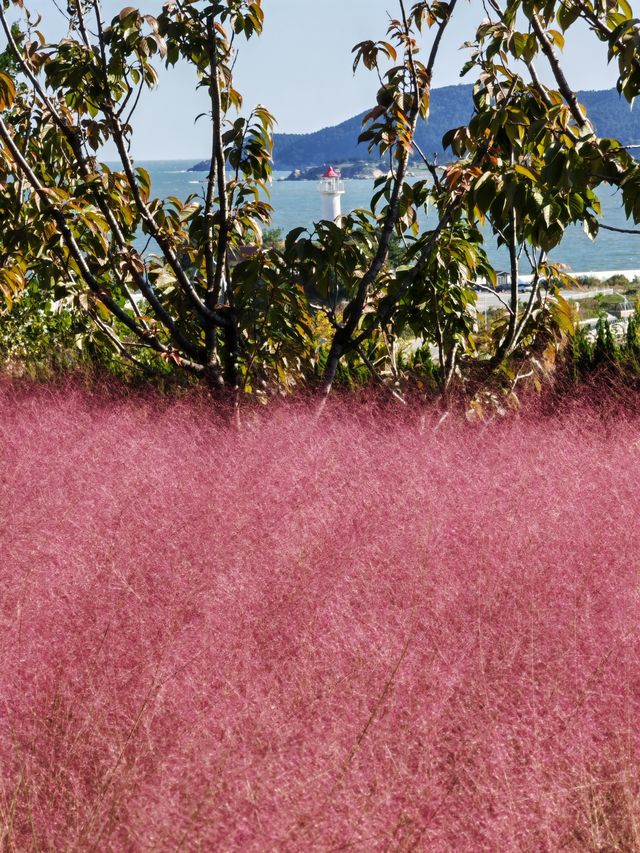 在粉紅疊翠中遠眺劉公島