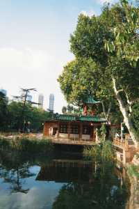 秋意裡的公園敘事:時光在此溫柔皺摺🪴
