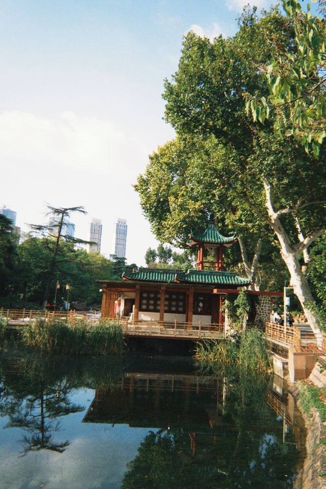 秋意裡的公園敘事:時光在此溫柔皺摺🪴 秋意裡的公園敘事:時光在此溫柔皺摺🪴