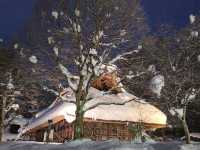 飛驒民俗村的那場大雪