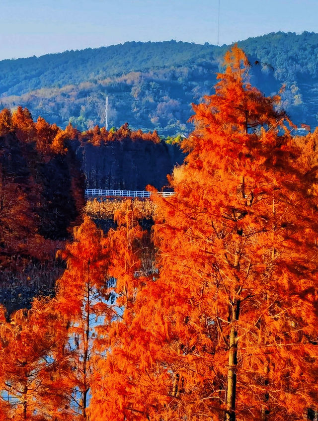 蘇州有自己的阿勒泰 蘇州有自己的阿勒泰