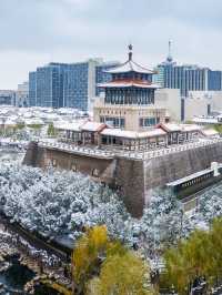 濟南-淄博3日遊不踩雷攻略來啦