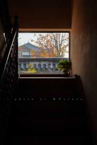 為了這個四合院，我專程奔赴洛陽的秋天